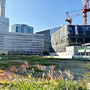 事業・マンション用地